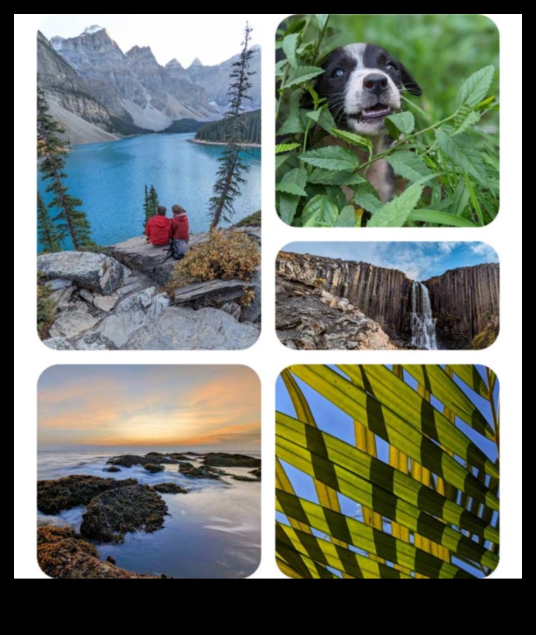 Pixel Prowess: Crește-ți măiestria în fotografia digitală