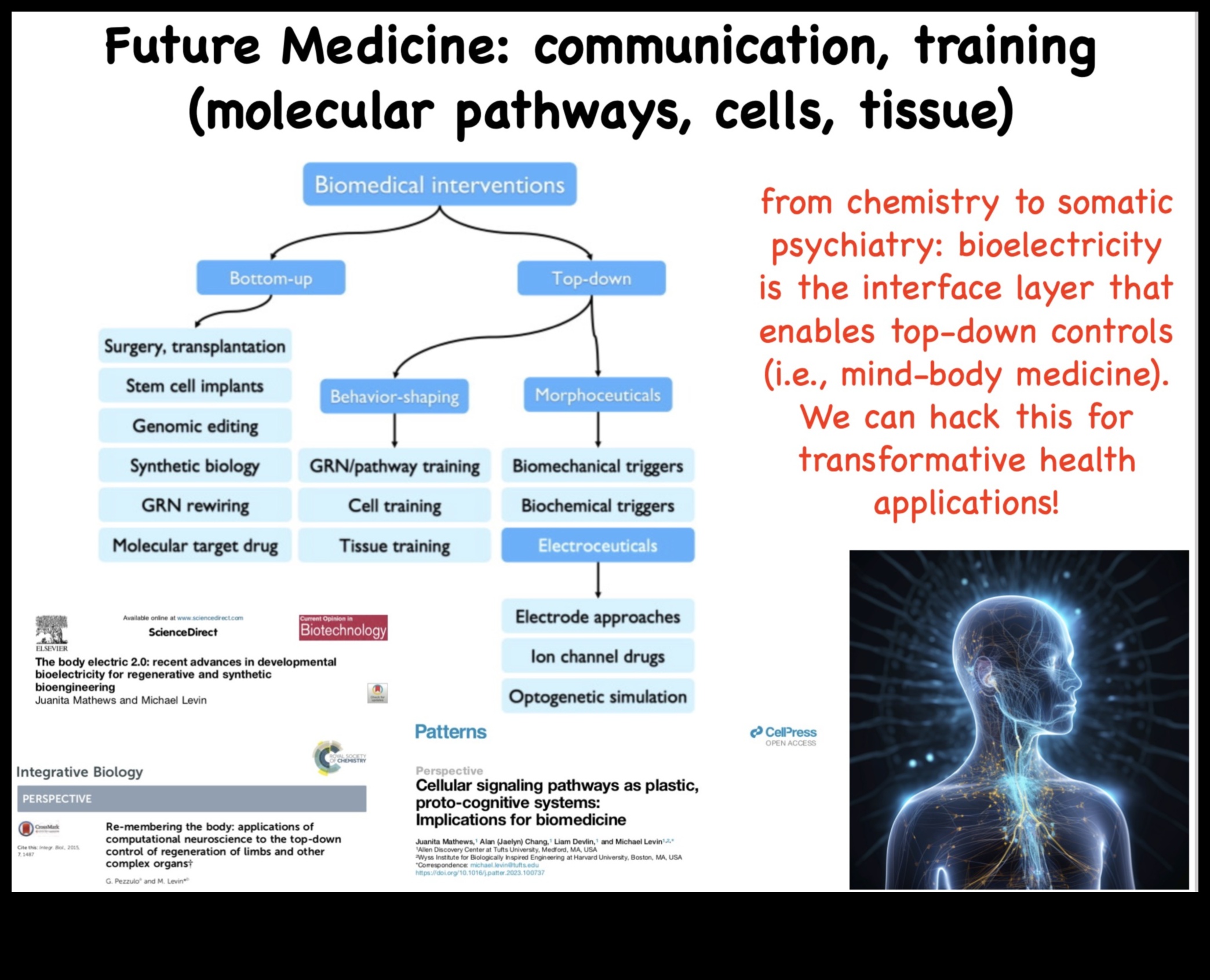 Imersiune în sănătate: modelarea alegerilor într-un domeniu al biotehnologiei centrat pe utilizator