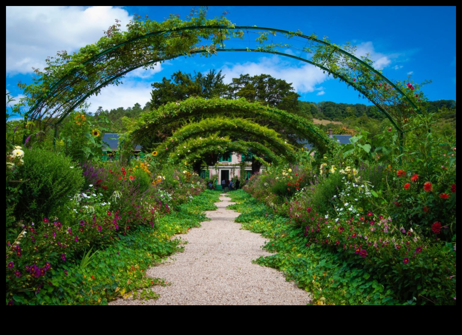 Drumuri către Paradis: Garden Design Tranquility