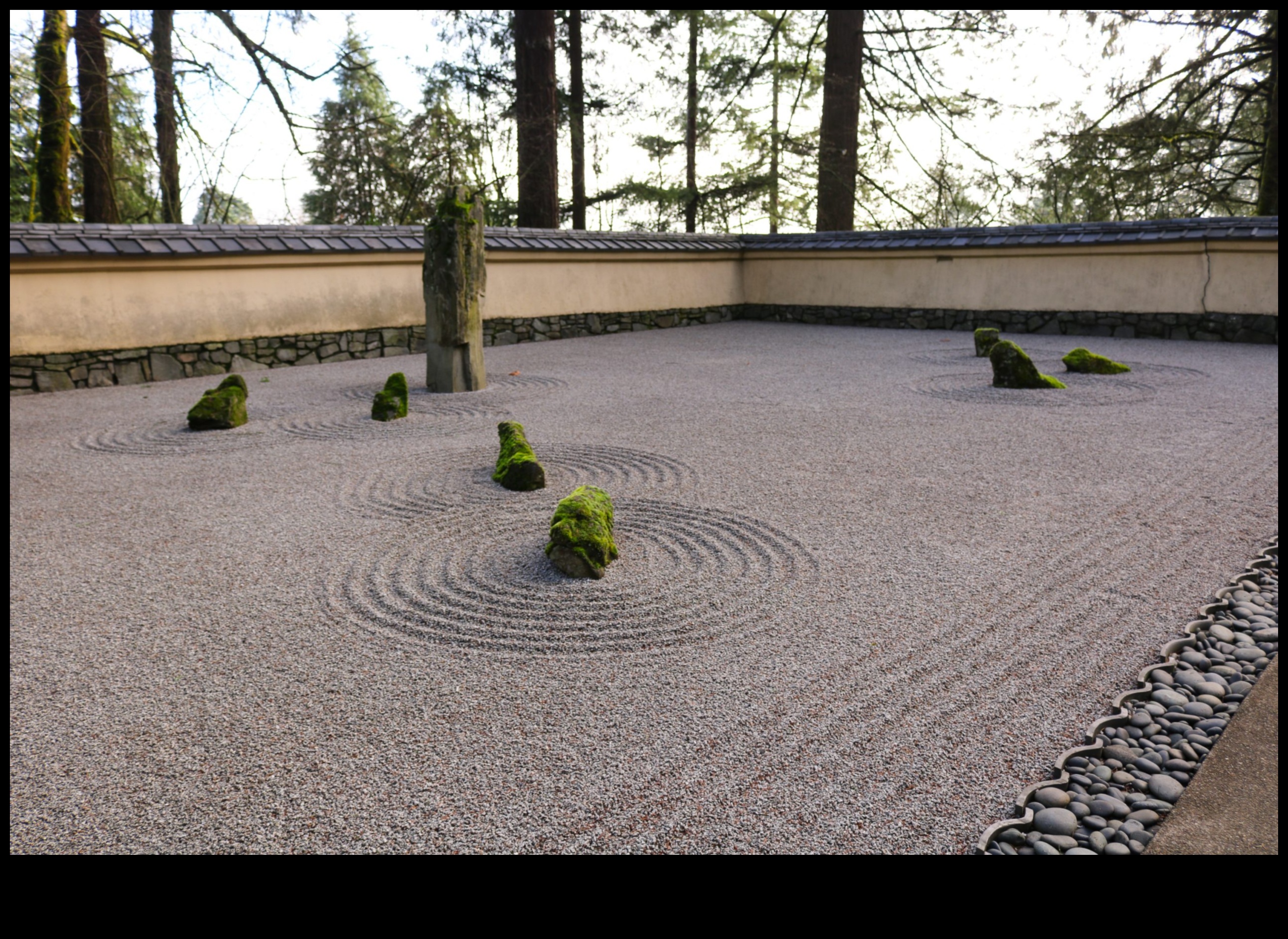 Grădina Pietrelor: Maestria Zen Japoneză