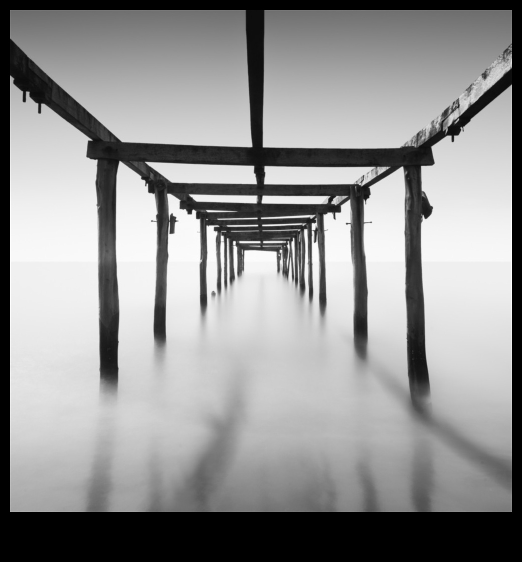 Minunății minimaliste: stăpânirea simplității în fotografie