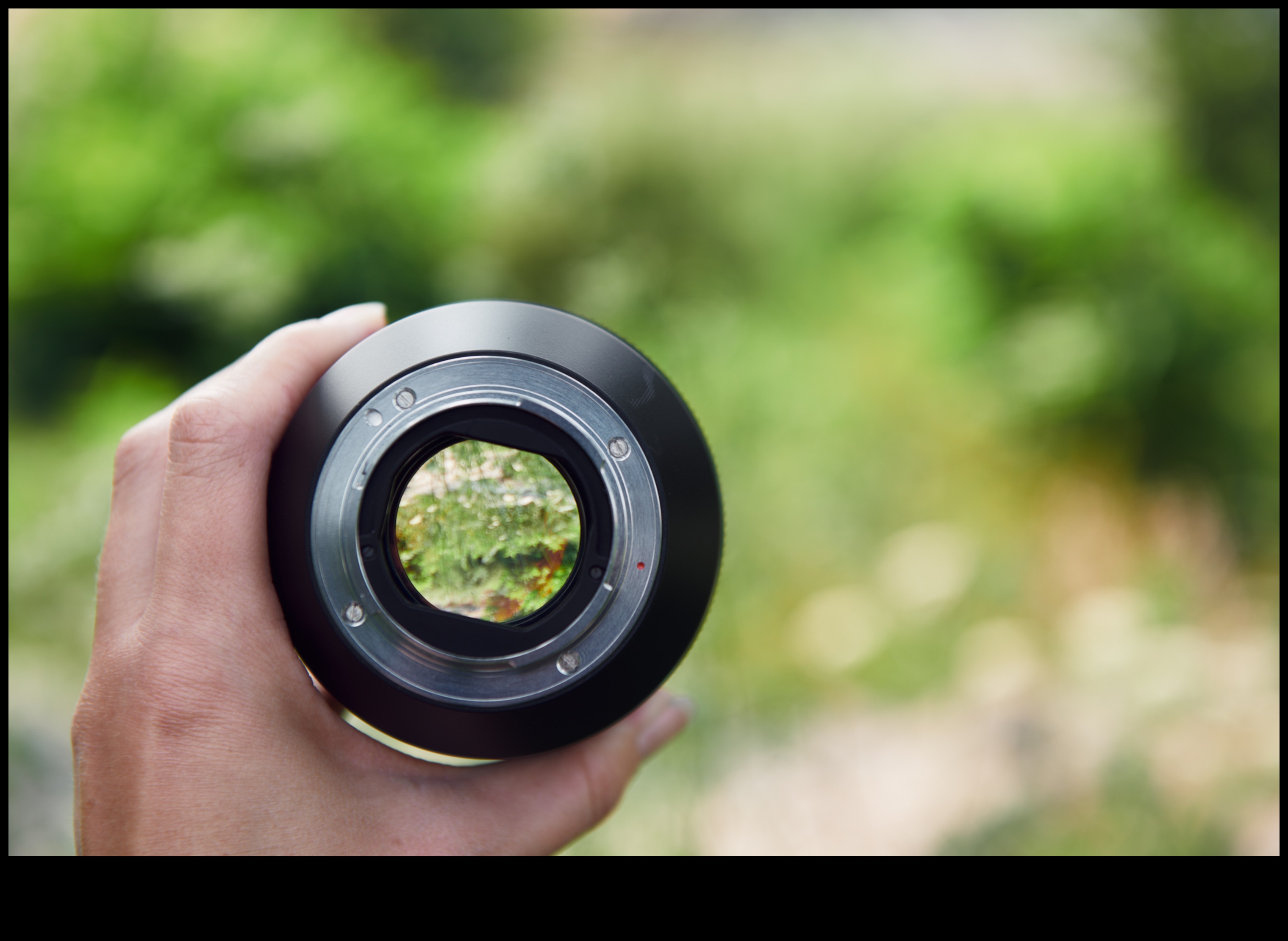 Zooming Zenith: Creșteți-vă experiența de fotografie cu obiective de precizie