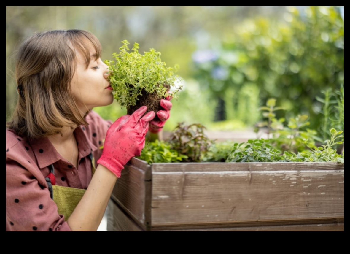 De la grădină la masă: delicii organice în fiecare recoltă