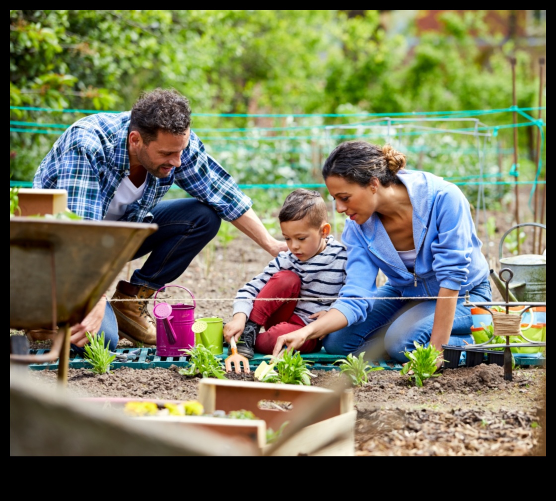 Înflorește cu un buget: Magie orbitoare de bricolaj pentru grădini