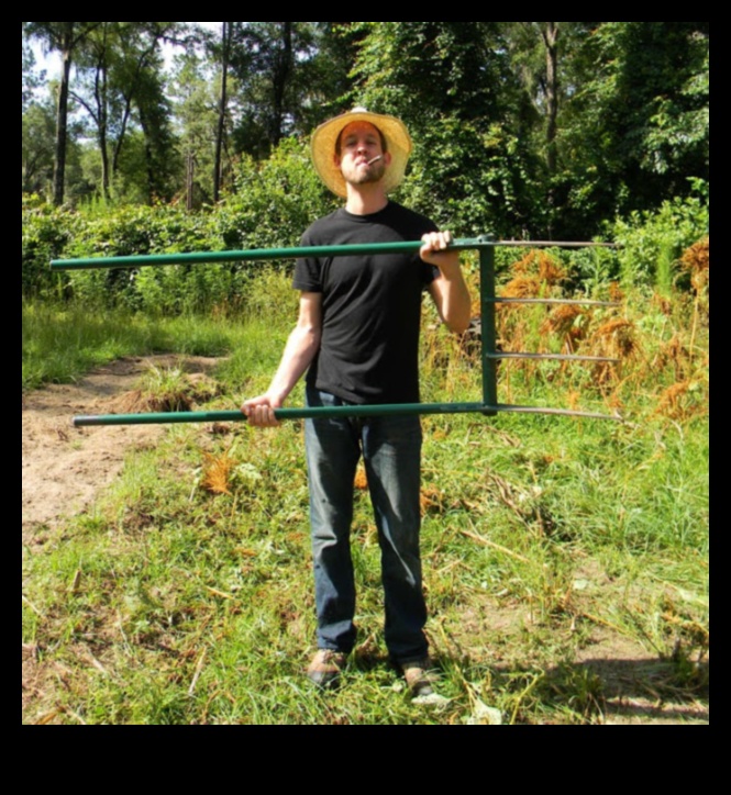 Rooted in Radiance: instrumente de grădină esențiale pentru Triumph