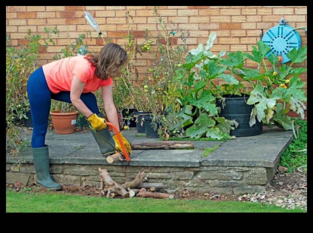 Rooted in Radiance: instrumente de grădină esențiale pentru Triumph