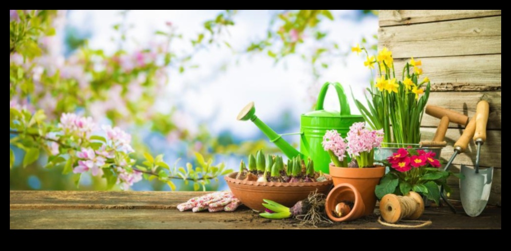 Rooted in Radiance: instrumente de grădină esențiale pentru Triumph