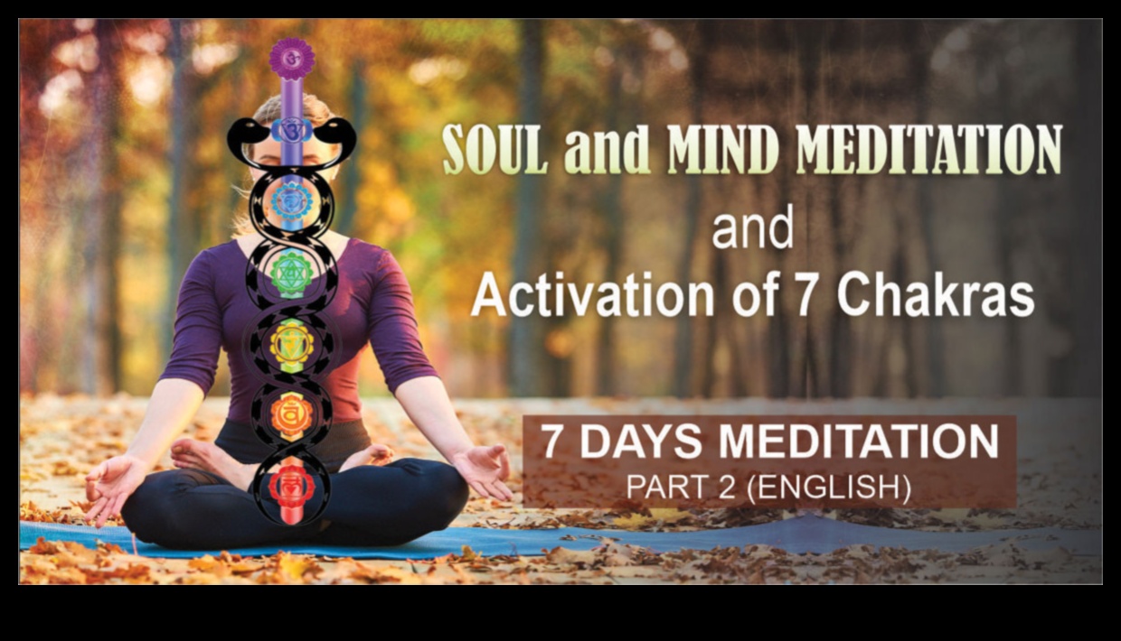 Revitalizarea spiritului tău 7 zile de meditație zilnică 2 Revitalizează-ți spiritul: efectele care schimbă viața meditației zilnice