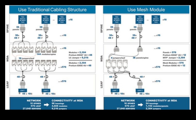 Blockchain Architects: Construirea soluțiilor de mâine cu sisteme inovatoare