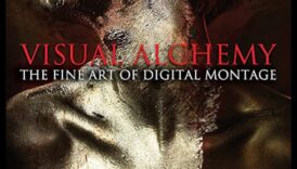 Alchimie vizuală: creșterea vederii prin îmbunătățirea foto expertă