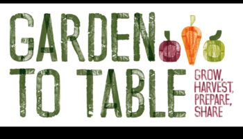 De la grădină la masă: delicii organice în fiecare recoltă