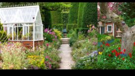 Eleganță rurală: cultivarea frumuseții atemporale în grădinile cabanelor