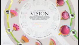 Evoluție vizuală: creșterea viziunii prin îmbunătățirea creativă a imaginii