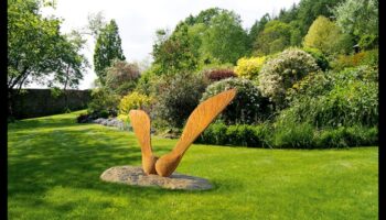 Galeria Naturii: Transformă-ți spațiul cu arta din grădină