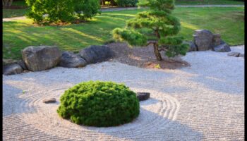 Grădina Pietrelor: Maestria Zen Japoneză