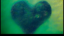 Încadrarea viitorului: călătorie în inima fotografiei digitale