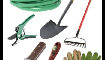 Rooted in Radiance: instrumente de grădină esențiale pentru Triumph