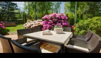 Oază elegantă: Transformări de design a grădinii așteaptă