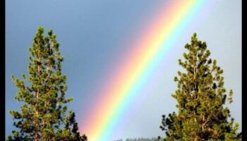 Rainbow Radiance: Tehnici pentru fotografii în culori vibrante